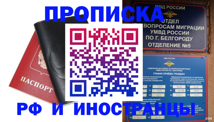 прописка поиск в Новороссийске